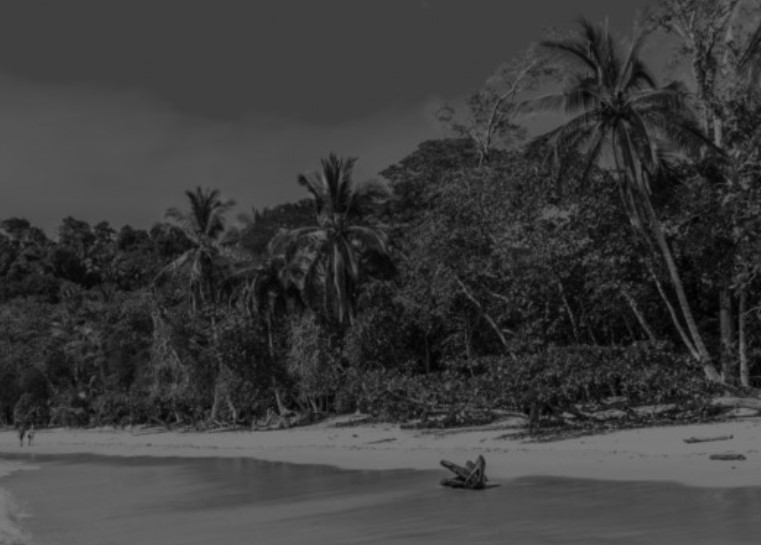“El turismo no sobrevive al miedo”